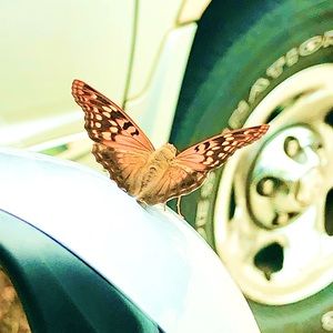 Meet your Posher, Emily